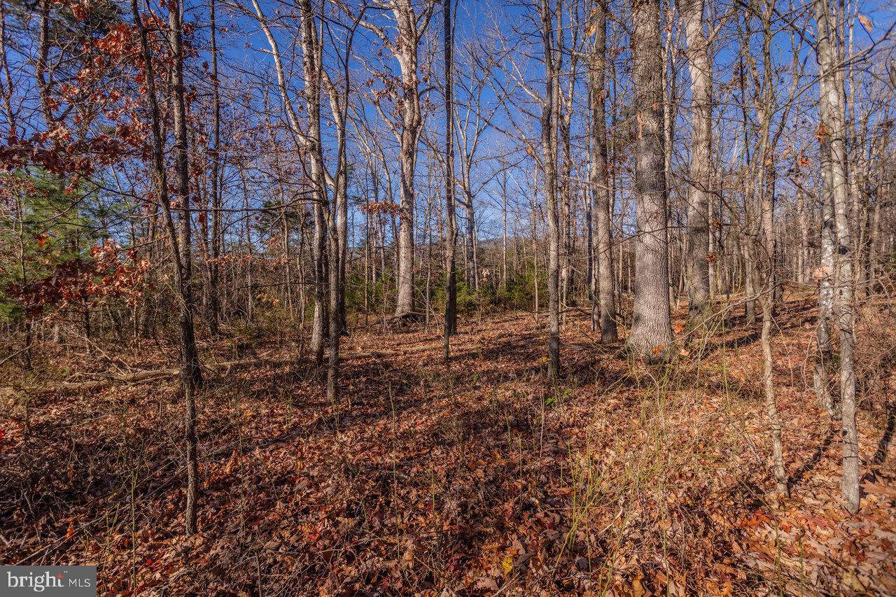 987 RIVERSIDE DR, LURAY, Virginia 22835, 3 Bedrooms Bedrooms, ,2 BathroomsBathrooms,Residential,For sale,987 RIVERSIDE DR,VAPA2005586 MLS # VAPA2005586