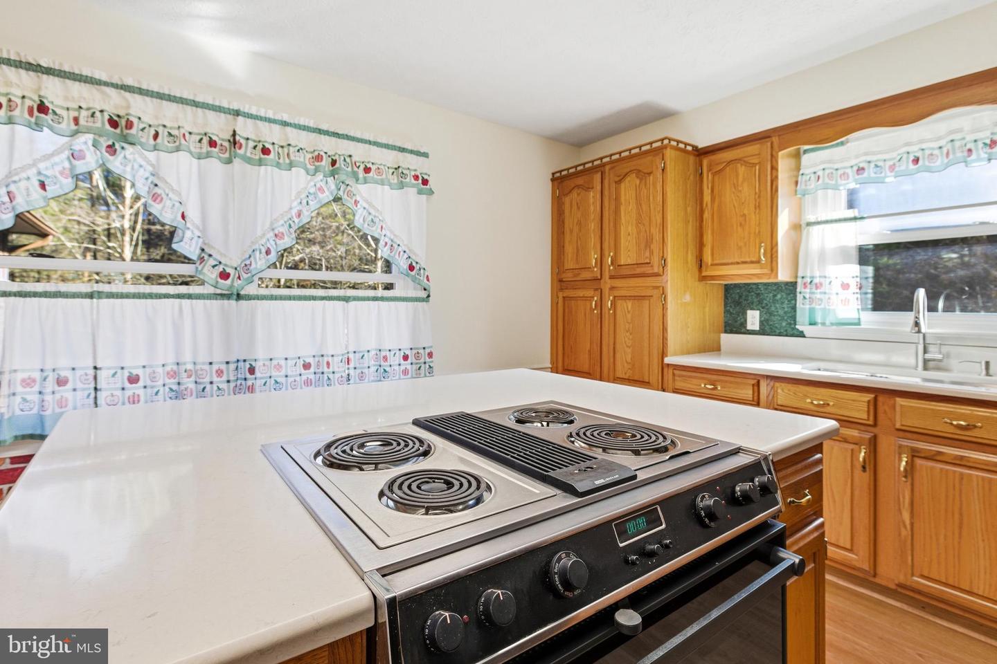 2800 ROCKY BRANCH RD, LURAY, Virginia 22835, 3 Bedrooms Bedrooms, ,3 BathroomsBathrooms,Residential,For sale,2800 ROCKY BRANCH RD,VAPA2005644 MLS # VAPA2005644