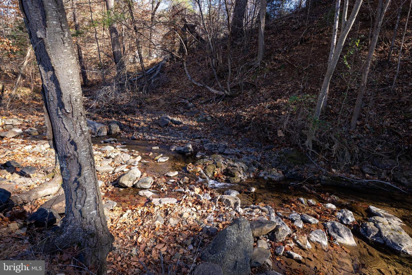 2800 ROCKY BRANCH RD, LURAY, Virginia 22835, 3 Bedrooms Bedrooms, ,3 BathroomsBathrooms,Residential,For sale,2800 ROCKY BRANCH RD,VAPA2005644 MLS # VAPA2005644