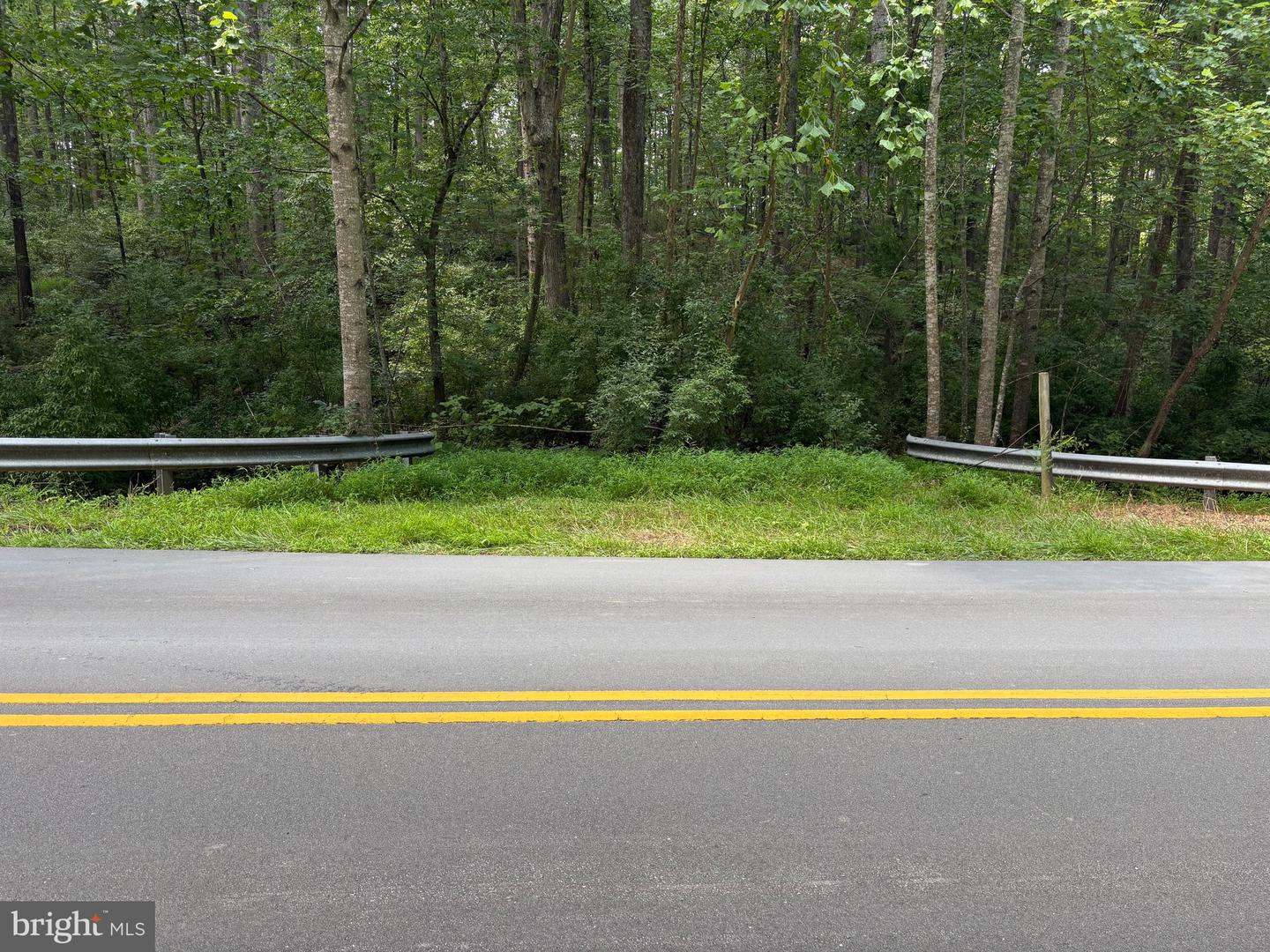 0 WEAVER ROAD, AMISSVILLE, Virginia 20106, ,Land,For sale,0 WEAVER ROAD,VARP2002216 MLS # VARP2002216