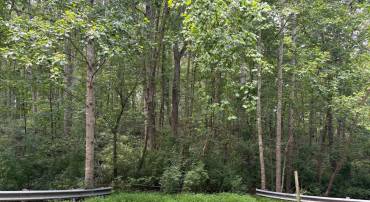 0 WEAVER ROAD, AMISSVILLE, Virginia 20106, ,Land,For sale,0 WEAVER ROAD,VARP2002216 MLS # VARP2002216