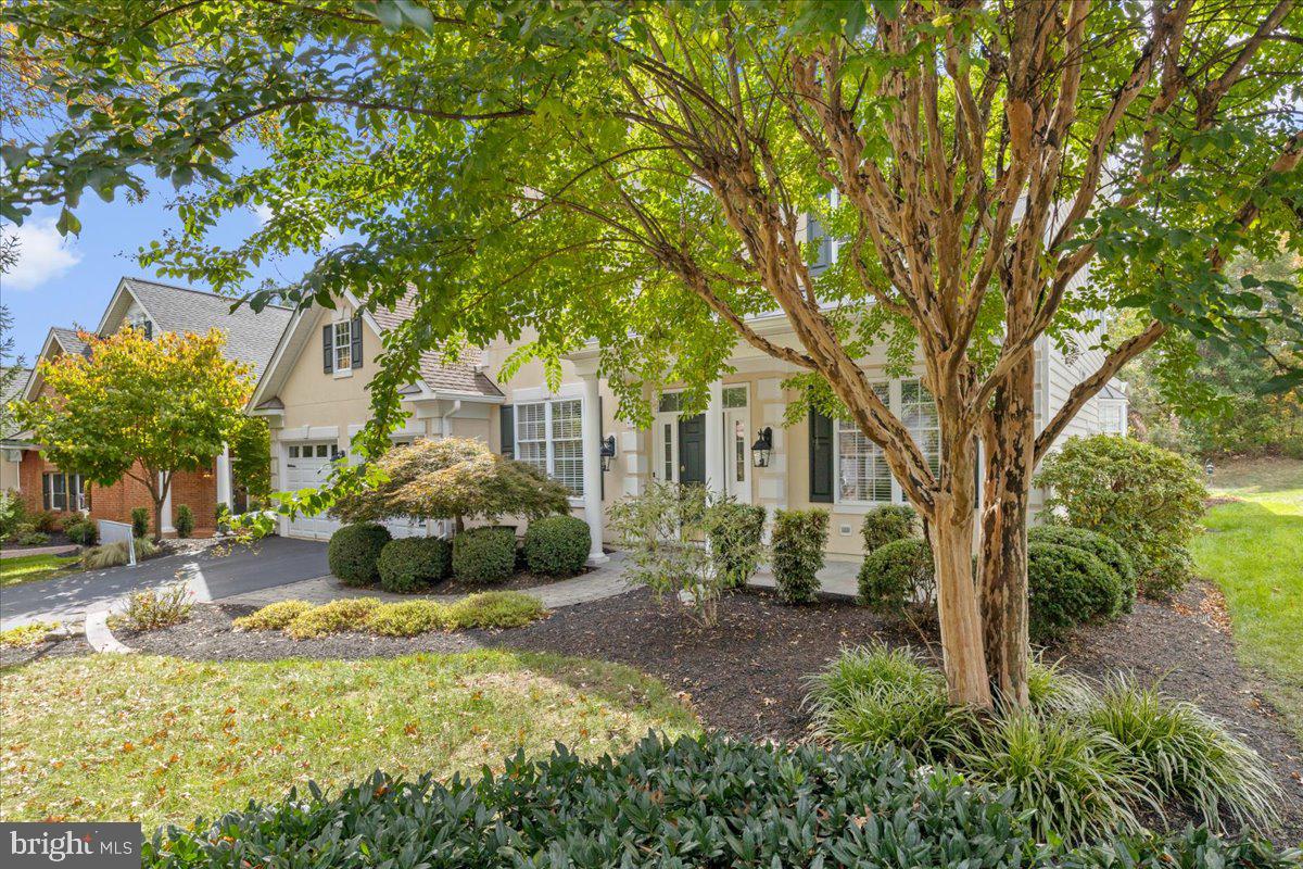 5320 TREVINO DR, HAYMARKET, Virginia 20169, 4 Bedrooms Bedrooms, 13 Rooms Rooms,3 BathroomsBathrooms,Residential,For sale,5320 TREVINO DR,VAPW2104912 MLS # VAPW2104912