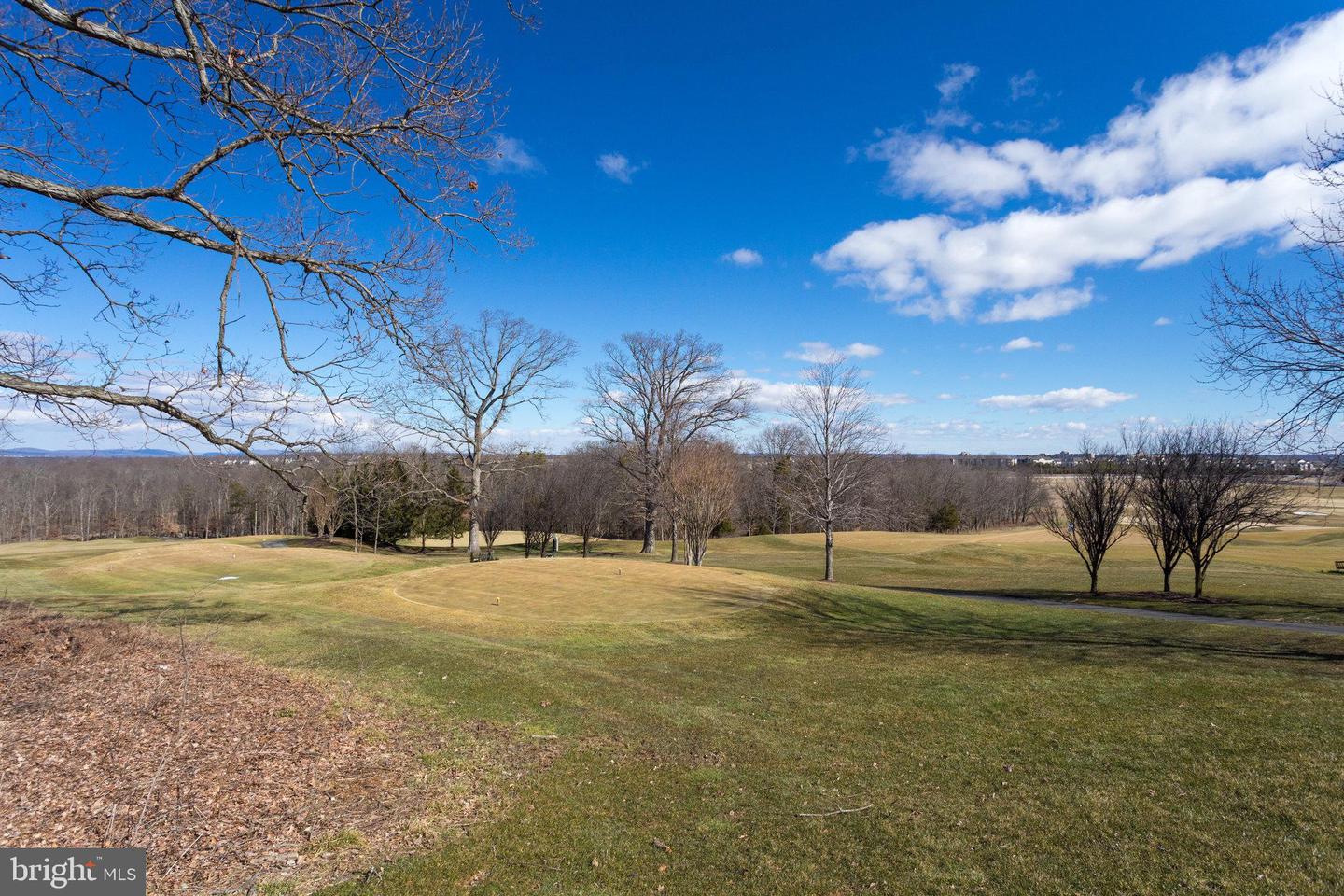 20250 MILLSTEAD DR, ASHBURN, Virginia 20147, 4 Bedrooms Bedrooms, ,3 BathroomsBathrooms,Residential,For sale,20250 MILLSTEAD DR,VALO2108322 MLS # VALO2108322