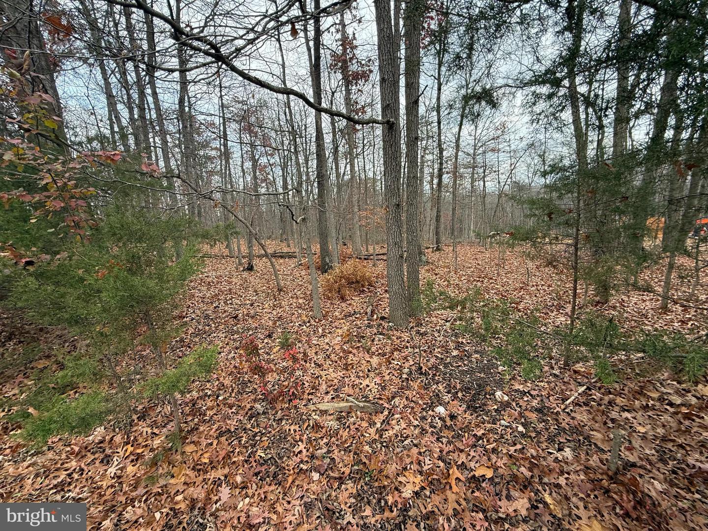 0 HATCHER, FRONT ROYAL, Virginia 22630, ,Land,For sale,0 HATCHER,VAWR2012842 MLS # VAWR2012842