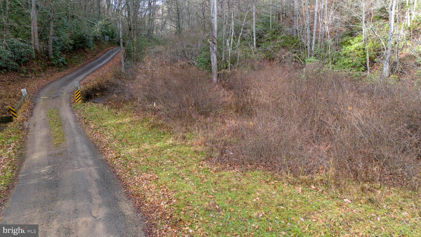 00 SAWMILL HILL RD, WILLIS, Virginia 24380, ,Farm,For sale,00 SAWMILL HILL RD,VAFD2000018 MLS # VAFD2000018 00 SAWMILL HILL RD, WILLIS, Virginia 24380, ,Farm,For sale,00 SAWMILL HILL RD,VAFD2000018 MLS # VAFD2000018