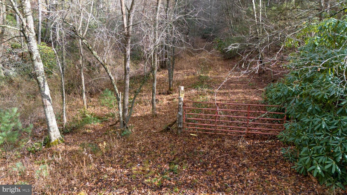 00 SAWMILL HILL RD, WILLIS, Virginia 24380, ,Farm,For sale,00 SAWMILL HILL RD,VAFD2000018 MLS # VAFD2000018 00 SAWMILL HILL RD, WILLIS, Virginia 24380, ,Farm,For sale,00 SAWMILL HILL RD,VAFD2000018 MLS # VAFD2000018