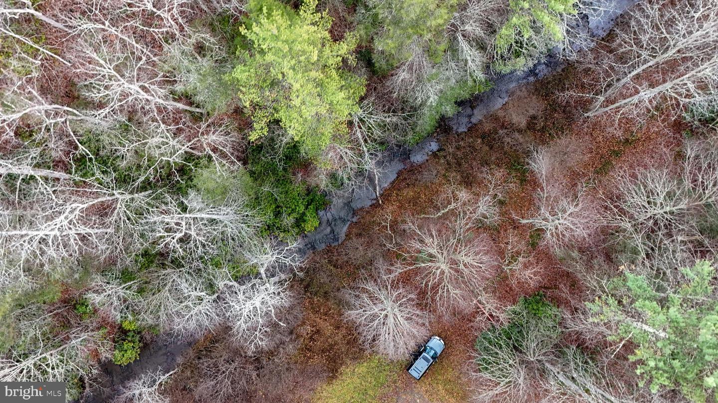 00 SAWMILL HILL RD, WILLIS, Virginia 24380, ,Farm,For sale,00 SAWMILL HILL RD,VAFD2000018 MLS # VAFD2000018 00 SAWMILL HILL RD, WILLIS, Virginia 24380, ,Farm,For sale,00 SAWMILL HILL RD,VAFD2000018 MLS # VAFD2000018