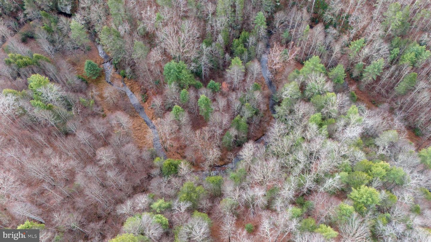 00 SAWMILL HILL RD, WILLIS, Virginia 24380, ,Farm,For sale,00 SAWMILL HILL RD,VAFD2000018 MLS # VAFD2000018 00 SAWMILL HILL RD, WILLIS, Virginia 24380, ,Farm,For sale,00 SAWMILL HILL RD,VAFD2000018 MLS # VAFD2000018