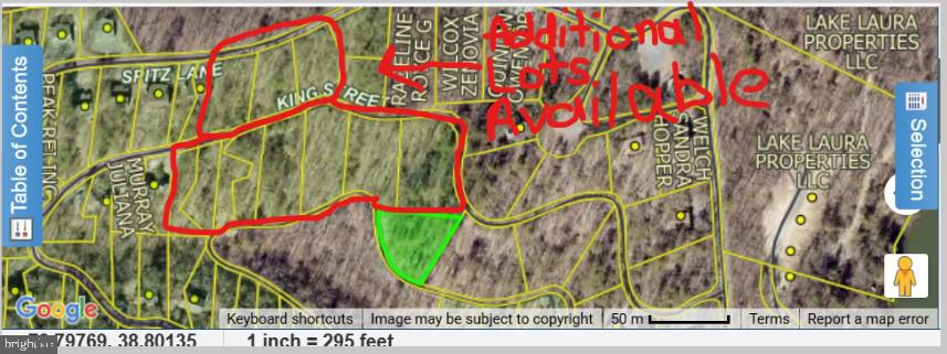 KING ST., BASYE, Virginia 22810, ,Land,For sale,KING ST.,VASH2013114 MLS # VASH2013114