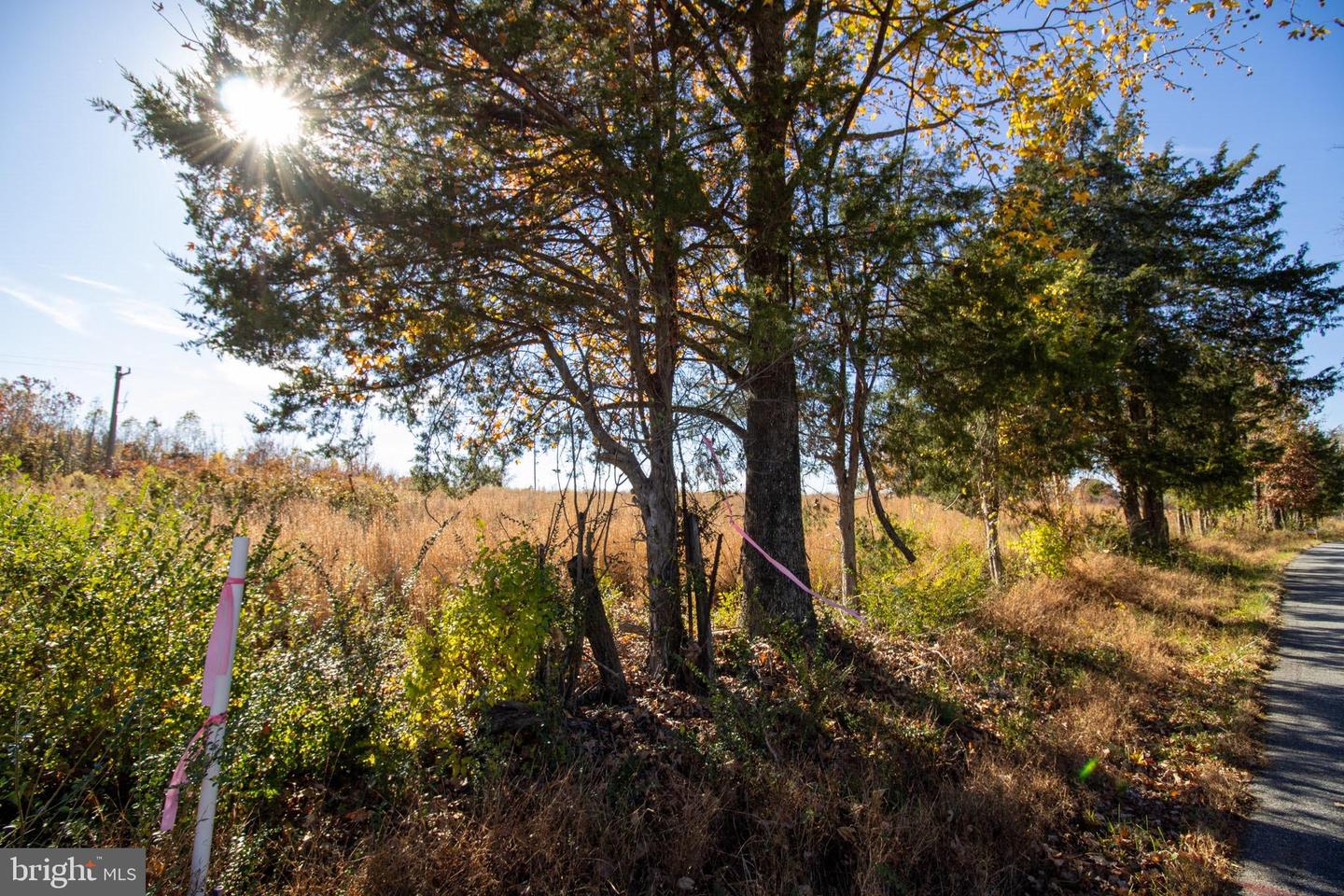 TBD PINEY GROVE ROAD #21, ALTON, Virginia 24520, ,Land,For sale,TBD PINEY GROVE ROAD #21,VAHX2000148 MLS # VAHX2000148 TBD PINEY GROVE ROAD #21, ALTON, Virginia 24520, ,Land,For sale,TBD PINEY GROVE ROAD #21,VAHX2000148 MLS # VAHX2000148