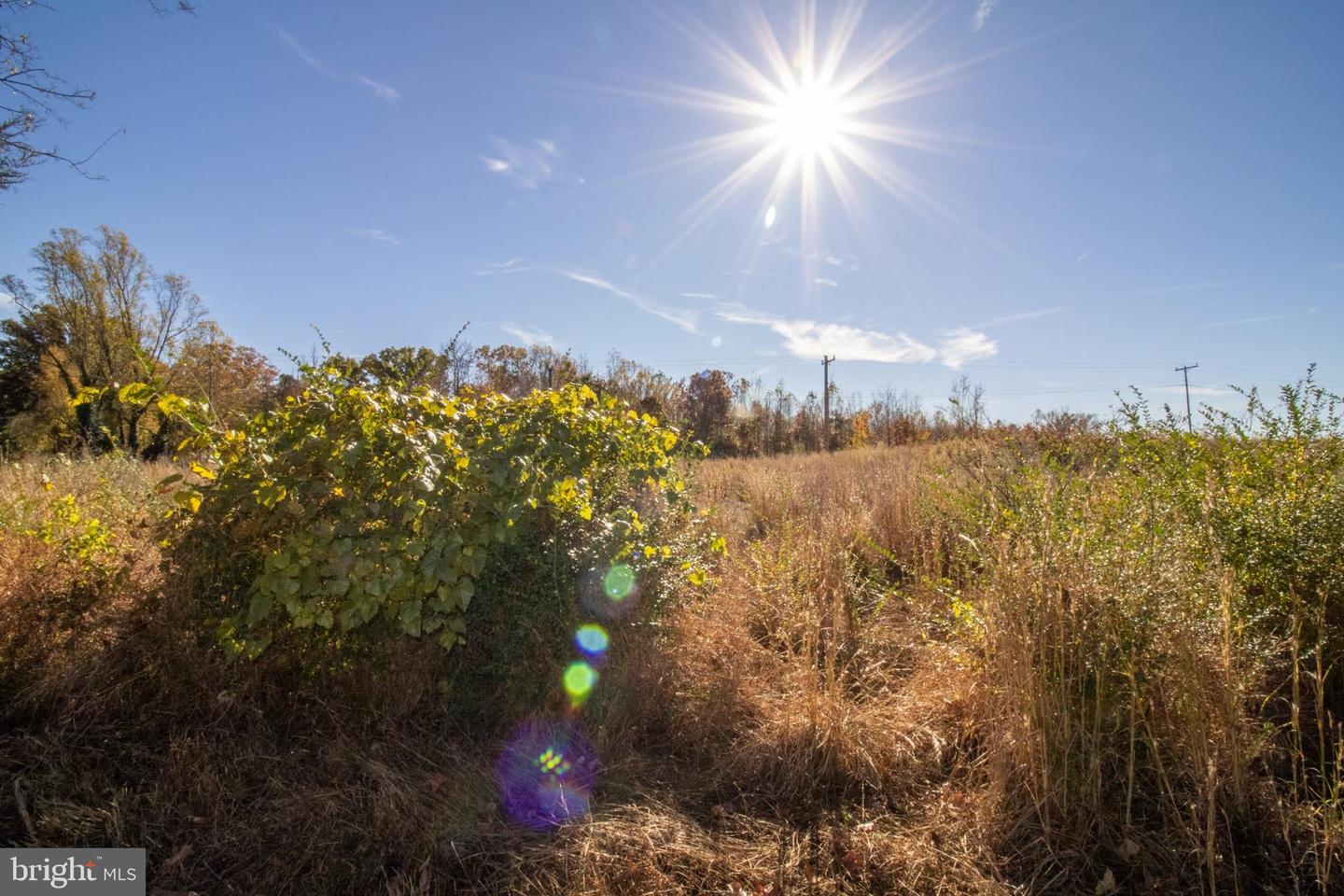 TBD PINEY GROVE ROAD #21, ALTON, Virginia 24520, ,Land,For sale,TBD PINEY GROVE ROAD #21,VAHX2000148 MLS # VAHX2000148 TBD PINEY GROVE ROAD #21, ALTON, Virginia 24520, ,Land,For sale,TBD PINEY GROVE ROAD #21,VAHX2000148 MLS # VAHX2000148
