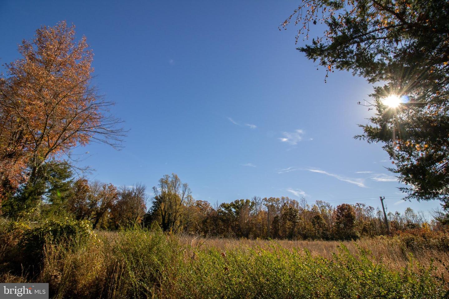 TBD PINEY GROVE ROAD #21, ALTON, Virginia 24520, ,Land,For sale,TBD PINEY GROVE ROAD #21,VAHX2000148 MLS # VAHX2000148 TBD PINEY GROVE ROAD #21, ALTON, Virginia 24520, ,Land,For sale,TBD PINEY GROVE ROAD #21,VAHX2000148 MLS # VAHX2000148