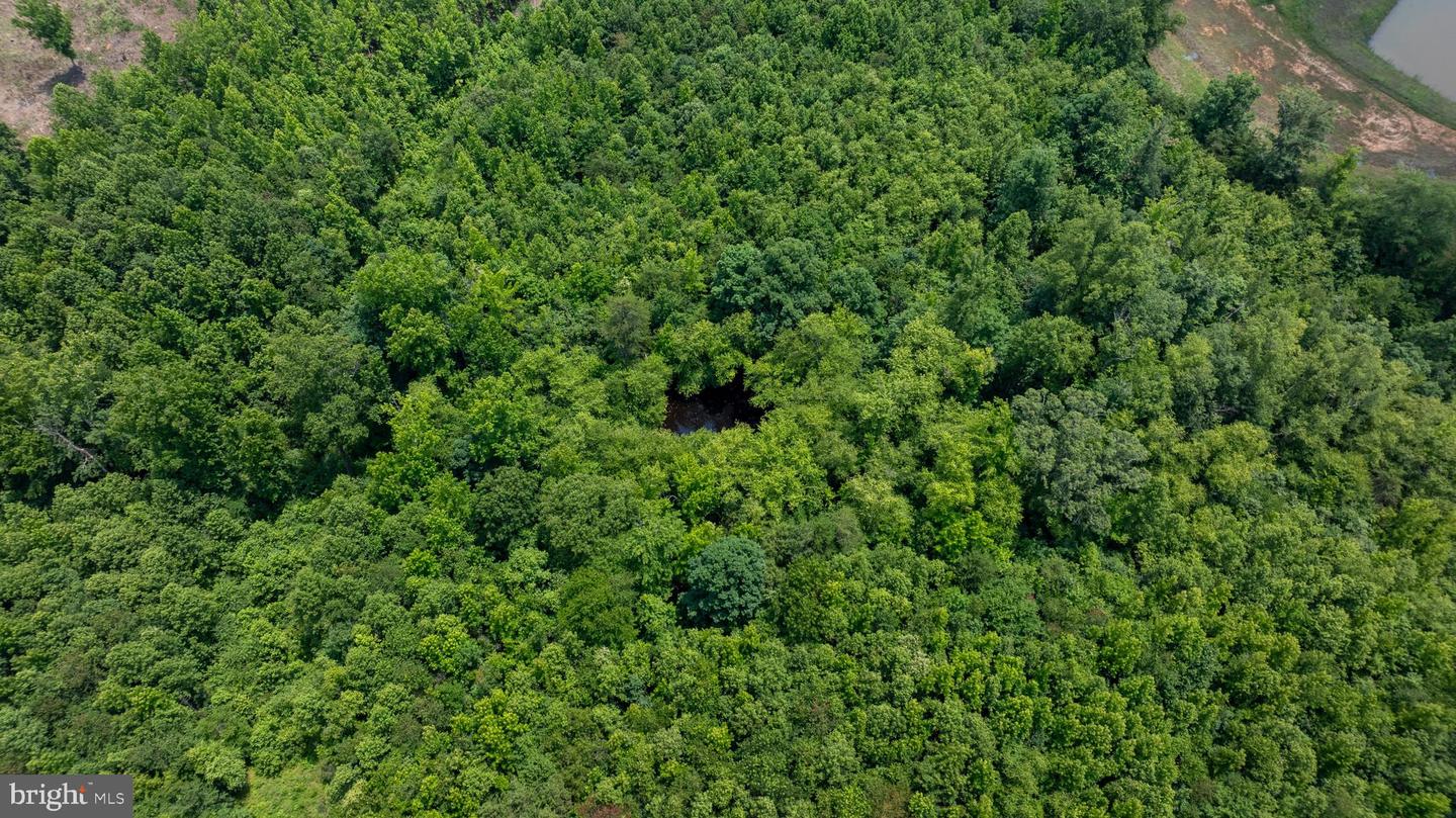 TBD PINEY GROVE ROAD #21, ALTON, Virginia 24520, ,Land,For sale,TBD PINEY GROVE ROAD #21,VAHX2000148 MLS # VAHX2000148 TBD PINEY GROVE ROAD #21, ALTON, Virginia 24520, ,Land,For sale,TBD PINEY GROVE ROAD #21,VAHX2000148 MLS # VAHX2000148