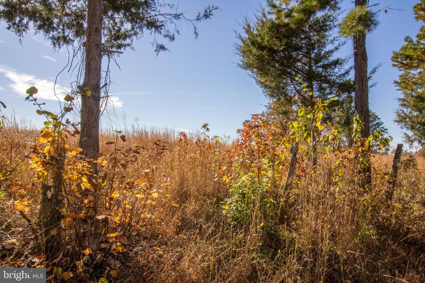 TBD PINEY GROVE ROAD #21, ALTON, Virginia 24520, ,Land,For sale,TBD PINEY GROVE ROAD #21,VAHX2000148 MLS # VAHX2000148 TBD PINEY GROVE ROAD #21, ALTON, Virginia 24520, ,Land,For sale,TBD PINEY GROVE ROAD #21,VAHX2000148 MLS # VAHX2000148