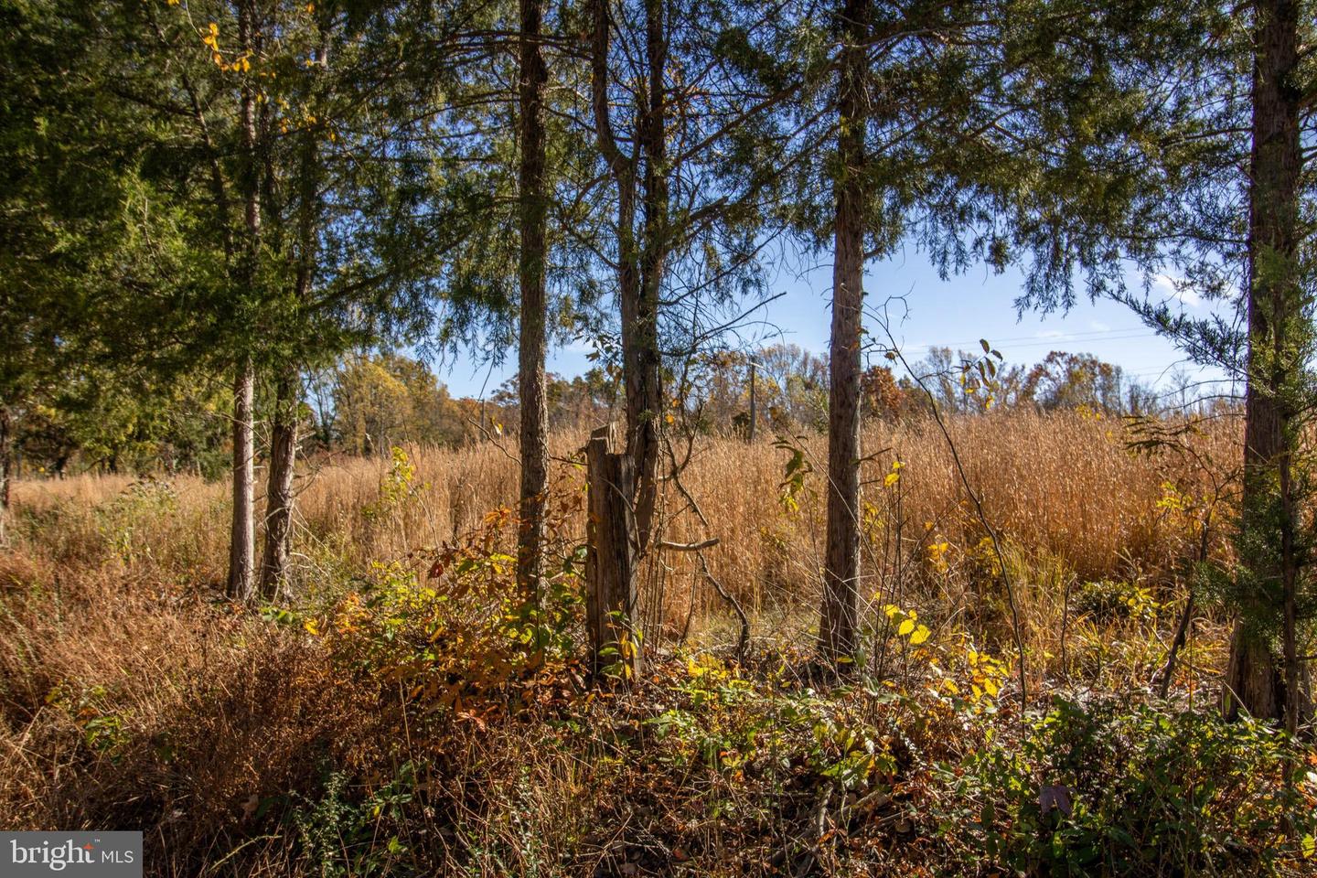 TBD PINEY GROVE ROAD #21, ALTON, Virginia 24520, ,Land,For sale,TBD PINEY GROVE ROAD #21,VAHX2000148 MLS # VAHX2000148 TBD PINEY GROVE ROAD #21, ALTON, Virginia 24520, ,Land,For sale,TBD PINEY GROVE ROAD #21,VAHX2000148 MLS # VAHX2000148