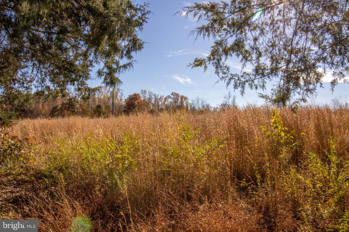 TBD PINEY GROVE ROAD #21, ALTON, Virginia 24520, ,Land,For sale,TBD PINEY GROVE ROAD #21,VAHX2000148 MLS # VAHX2000148 TBD PINEY GROVE ROAD #21, ALTON, Virginia 24520, ,Land,For sale,TBD PINEY GROVE ROAD #21,VAHX2000148 MLS # VAHX2000148