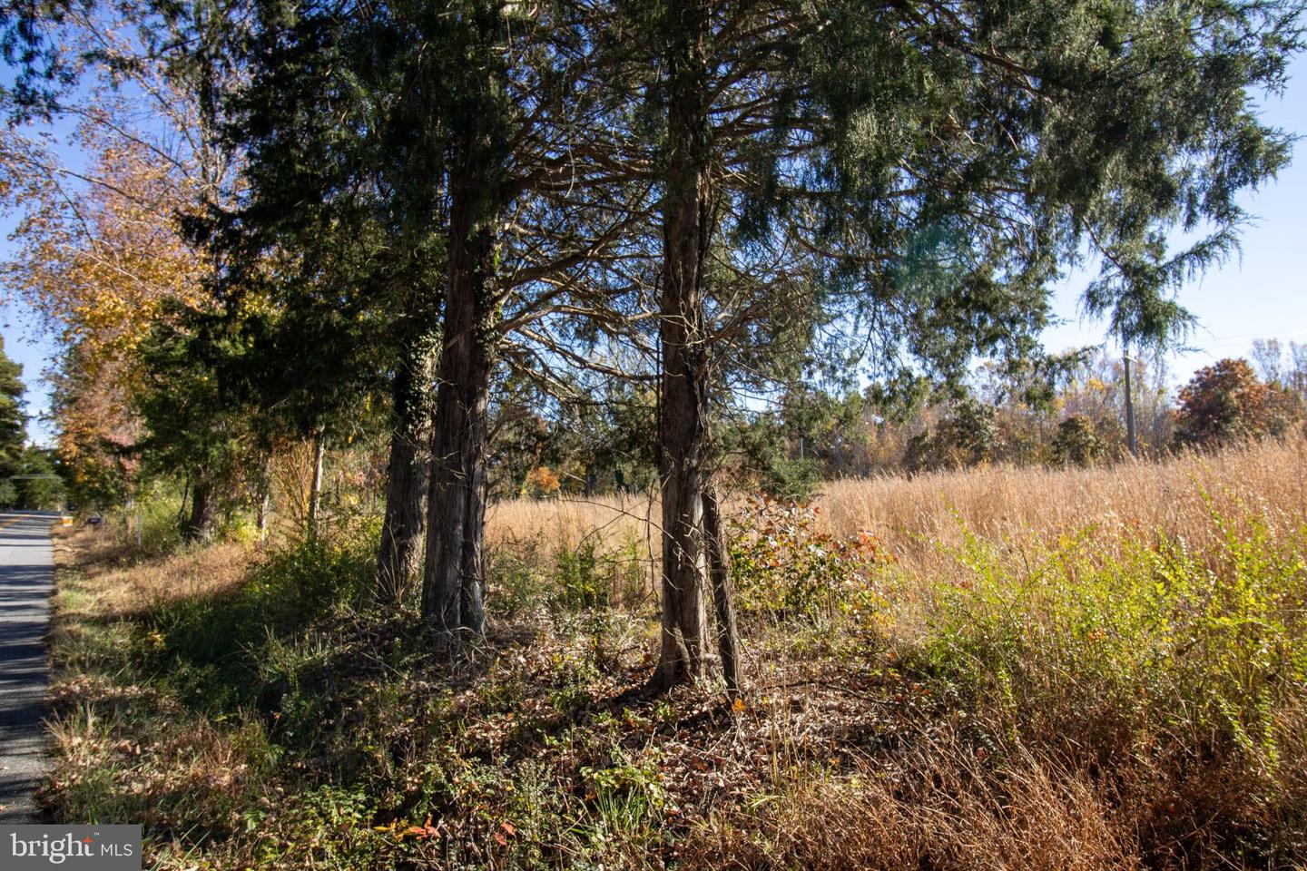 TBD PINEY GROVE ROAD #21, ALTON, Virginia 24520, ,Land,For sale,TBD PINEY GROVE ROAD #21,VAHX2000148 MLS # VAHX2000148 TBD PINEY GROVE ROAD #21, ALTON, Virginia 24520, ,Land,For sale,TBD PINEY GROVE ROAD #21,VAHX2000148 MLS # VAHX2000148