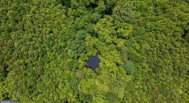 TBD PINEY GROVE ROAD #21, ALTON, Virginia 24520, ,Land,For sale,TBD PINEY GROVE ROAD #21,VAHX2000148 MLS # VAHX2000148