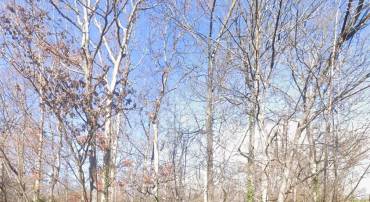 00 LOWER VALLEY RD, STRASBURG, Virginia 22657, ,Land,For sale,00 LOWER VALLEY RD,VAWR2012846 MLS # VAWR2012846