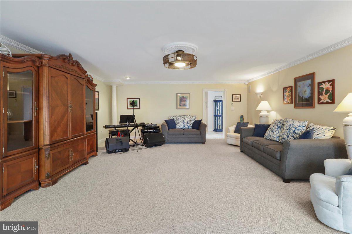 100 COTTAGE DR, LURAY, Virginia 22835, ,Land,For sale,100 COTTAGE DR,VAPA2005650 MLS # VAPA2005650