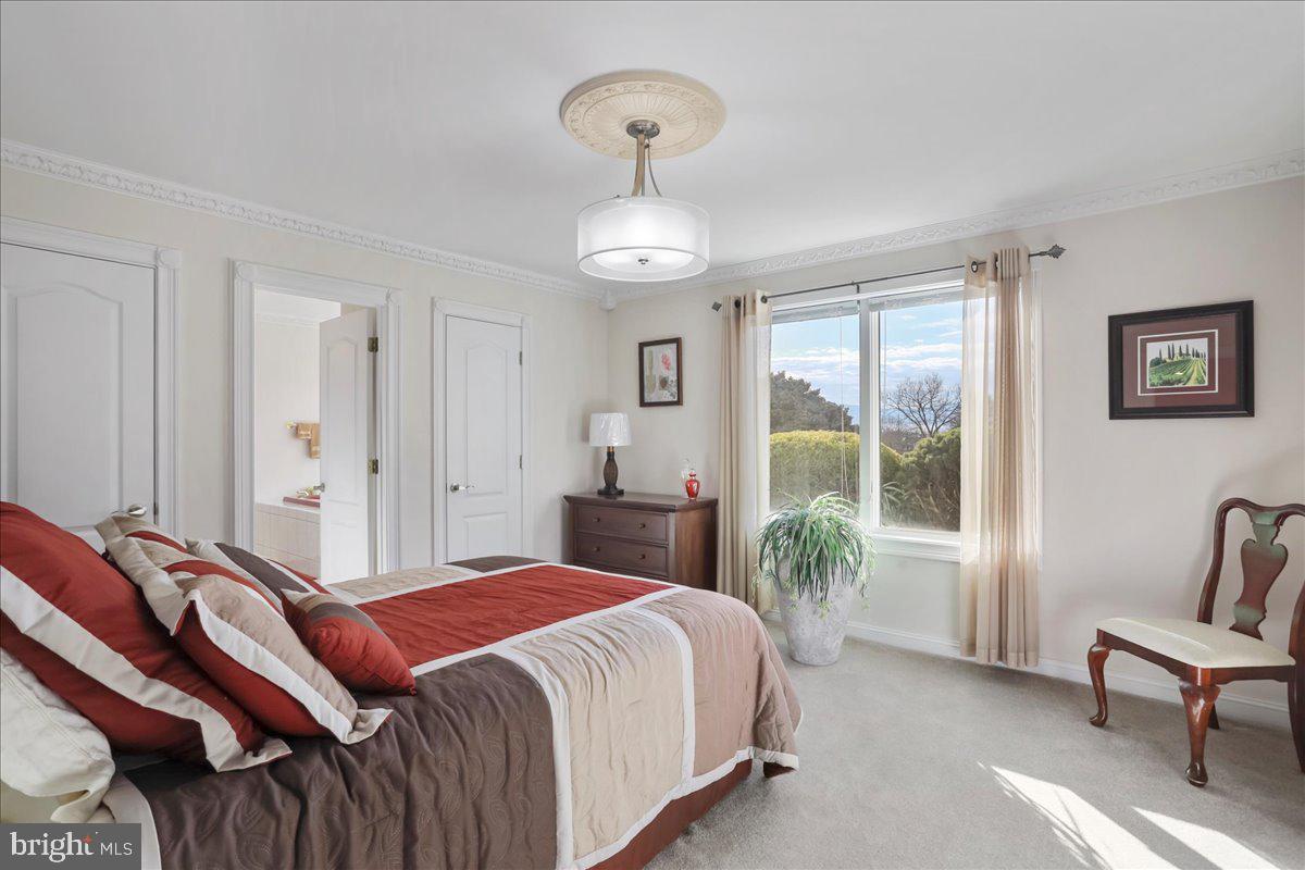 100 COTTAGE DR, LURAY, Virginia 22835, ,Land,For sale,100 COTTAGE DR,VAPA2005650 MLS # VAPA2005650