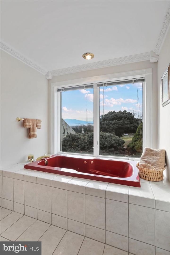 100 COTTAGE DR, LURAY, Virginia 22835, ,Land,For sale,100 COTTAGE DR,VAPA2005650 MLS # VAPA2005650