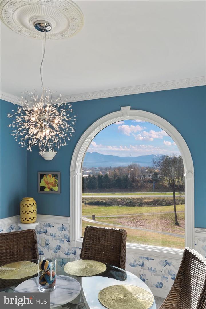 100 COTTAGE DR, LURAY, Virginia 22835, ,Land,For sale,100 COTTAGE DR,VAPA2005650 MLS # VAPA2005650