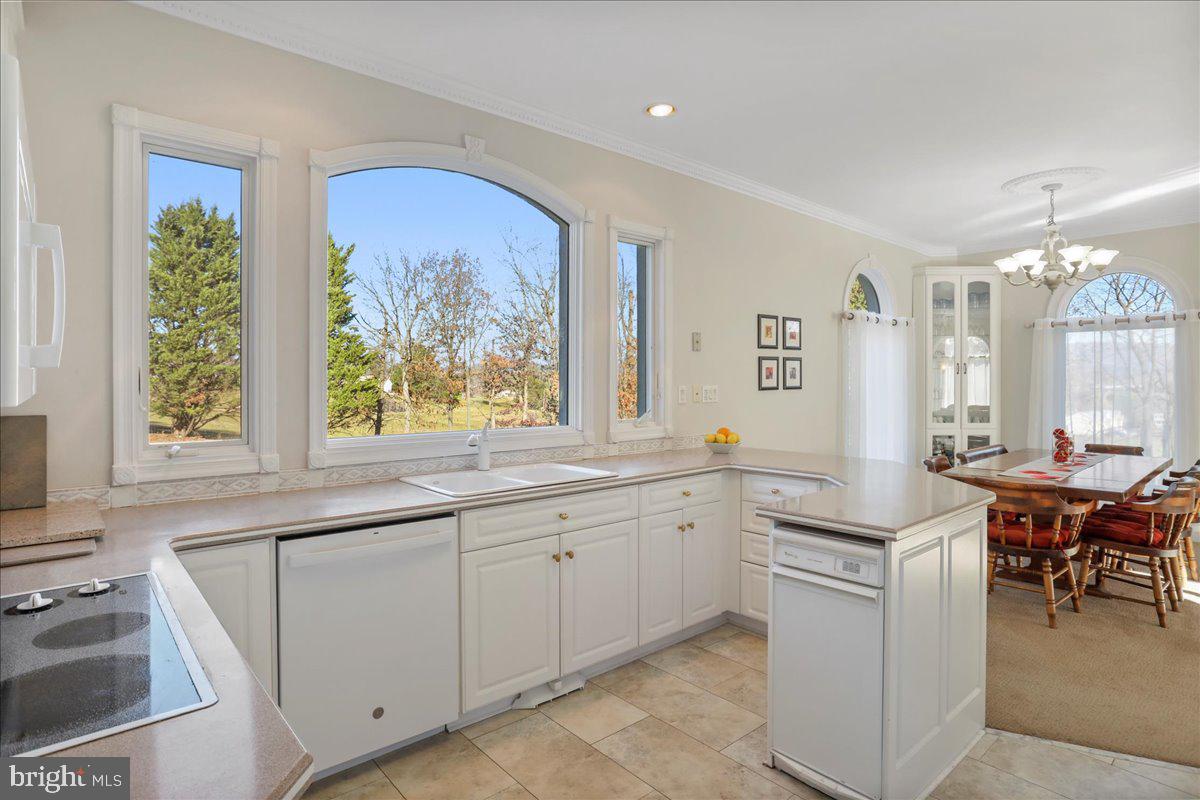 50 COTTAGE DR, LURAY, Virginia 22835, ,Land,For sale,50 COTTAGE DR,VAPA2005652 MLS # VAPA2005652