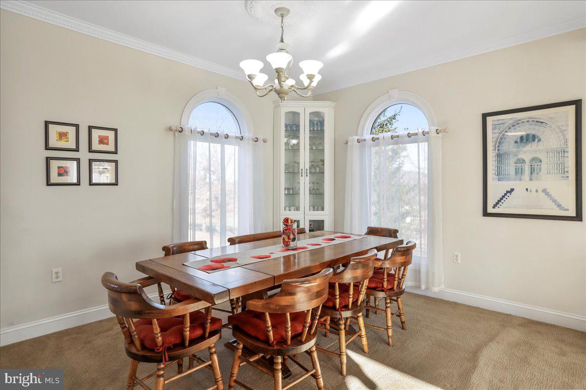 50 COTTAGE DR, LURAY, Virginia 22835, ,Land,For sale,50 COTTAGE DR,VAPA2005652 MLS # VAPA2005652