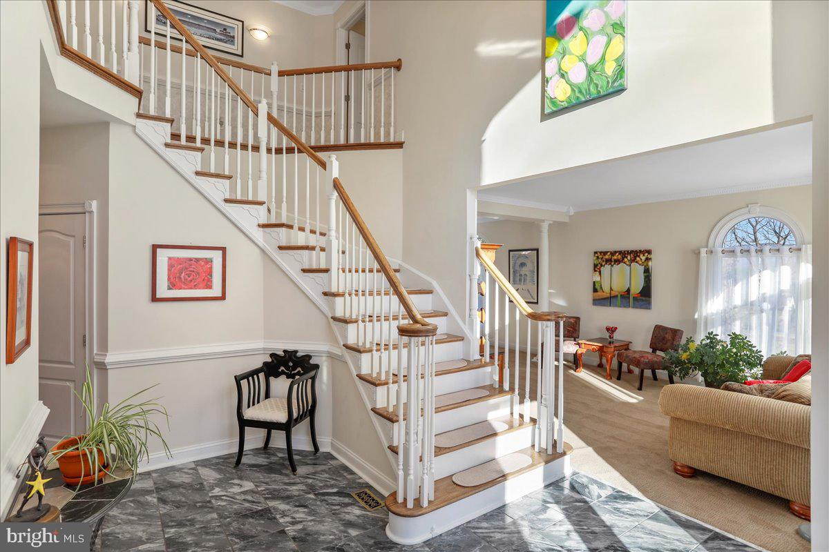 50 COTTAGE DR, LURAY, Virginia 22835, ,Land,For sale,50 COTTAGE DR,VAPA2005652 MLS # VAPA2005652