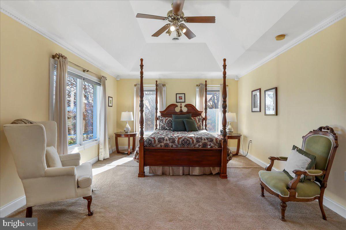 50 COTTAGE DR, LURAY, Virginia 22835, ,Land,For sale,50 COTTAGE DR,VAPA2005652 MLS # VAPA2005652