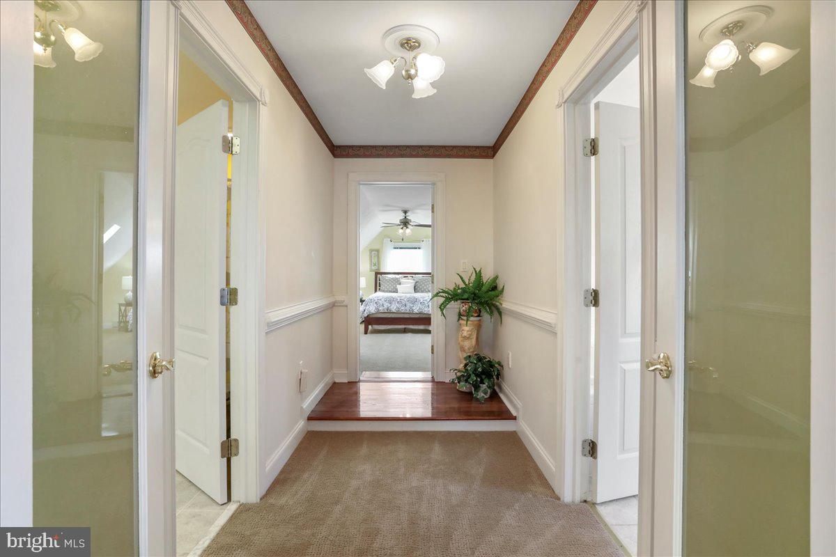 50 COTTAGE DR, LURAY, Virginia 22835, ,Land,For sale,50 COTTAGE DR,VAPA2005652 MLS # VAPA2005652