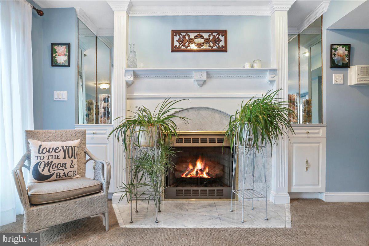 50 COTTAGE DR, LURAY, Virginia 22835, ,Land,For sale,50 COTTAGE DR,VAPA2005652 MLS # VAPA2005652