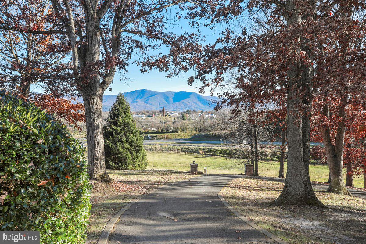 50 COTTAGE DR, LURAY, Virginia 22835, ,Land,For sale,50 COTTAGE DR,VAPA2005652 MLS # VAPA2005652