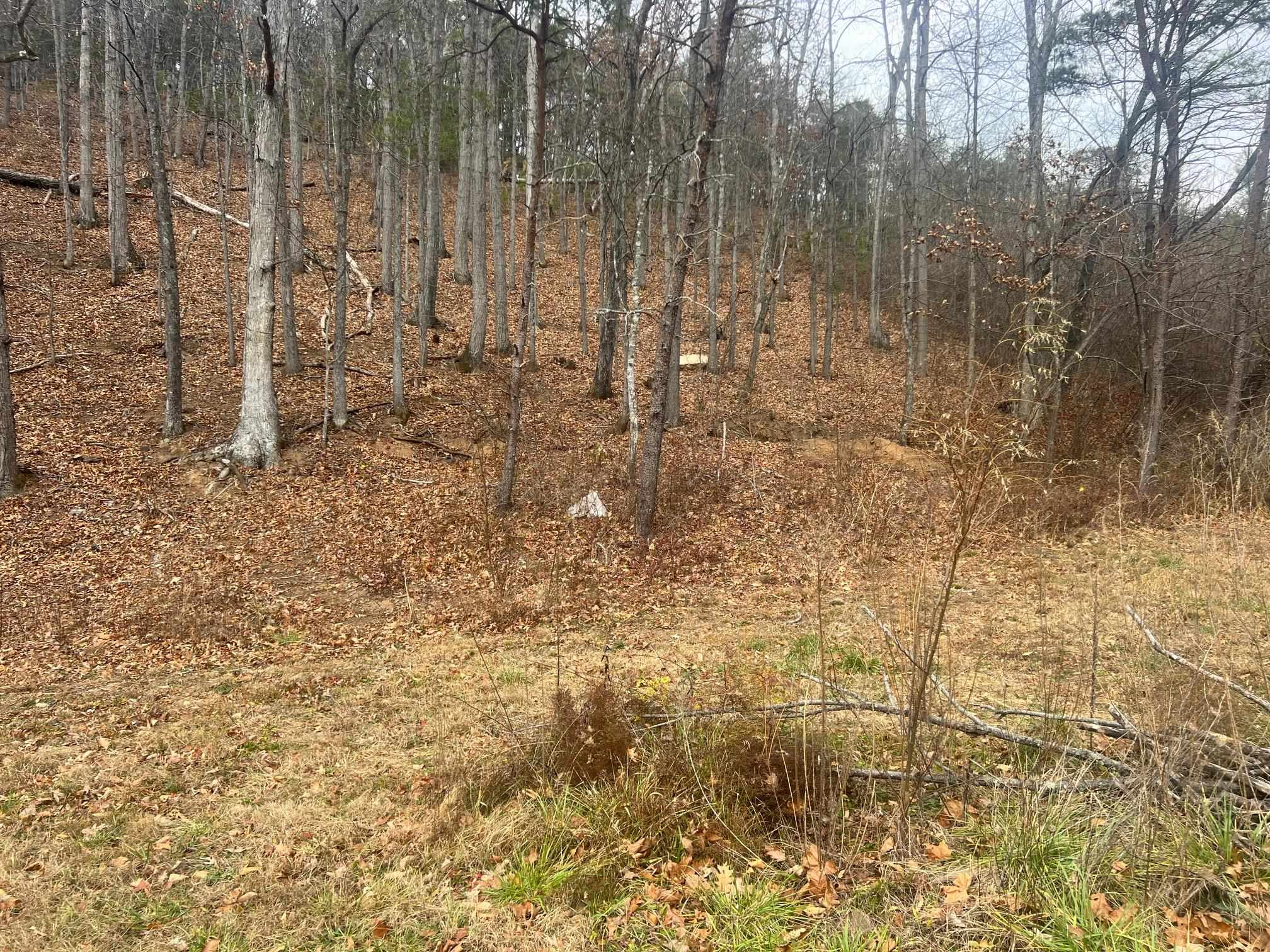 2557 HANKEY MOUNTAIN HWY, CHURCHVILLE, Virginia 24421, ,Land,2557 HANKEY MOUNTAIN HWY,671454 MLS # 671454