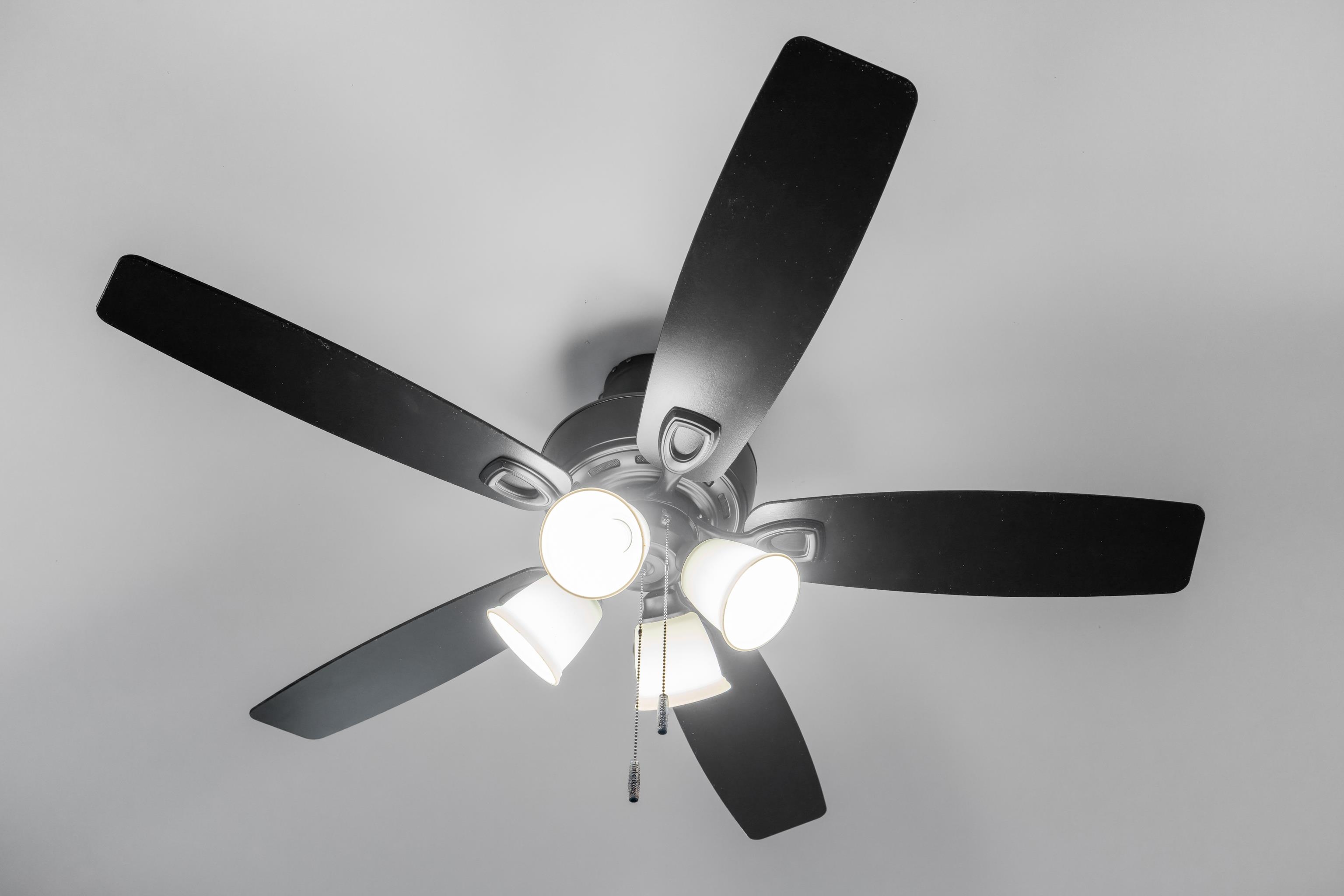 10166 OAK CIRCLE LN, MCGAHEYSVILLE, Virginia 22840, 6 Bedrooms Bedrooms, ,4 BathroomsBathrooms,Residential,10166 OAK CIRCLE LN,671461 MLS # 671461 10166 OAK CIRCLE LN, MCGAHEYSVILLE, Virginia 22840, 6 Bedrooms Bedrooms, ,4 BathroomsBathrooms,Residential,10166 OAK CIRCLE LN,671461 MLS # 671461