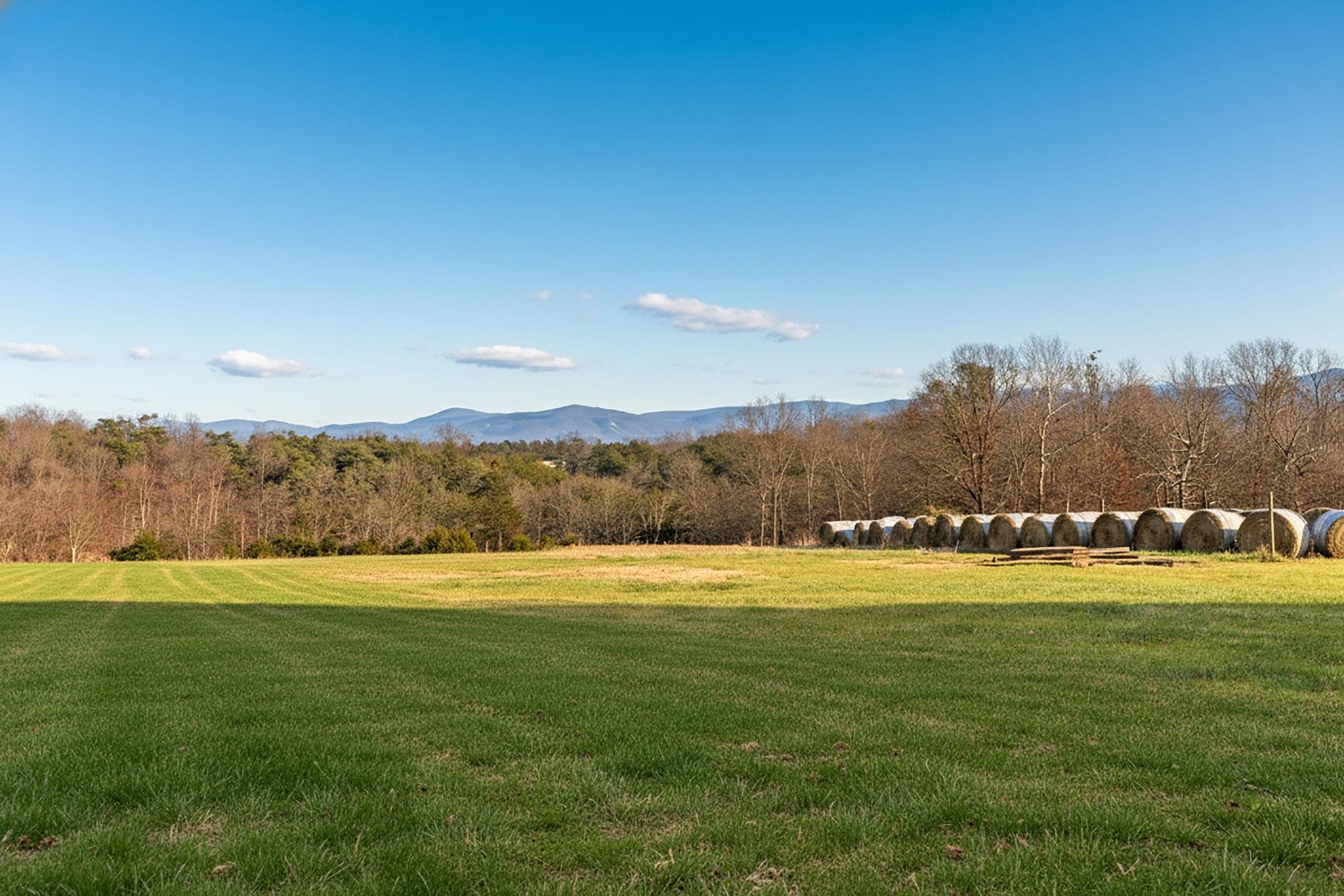 6723 OAK SHADE RD, ROCKINGHAM, Virginia 22802, 3 Bedrooms Bedrooms, ,2 BathroomsBathrooms,Residential,6723 OAK SHADE RD,671469 MLS # 671469