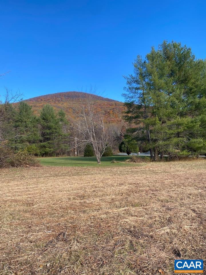 NAPIER LN #C, NELLYSFORD, Virginia 22958, ,Land,For sale,NAPIER LN #C,671453 MLS # 671453