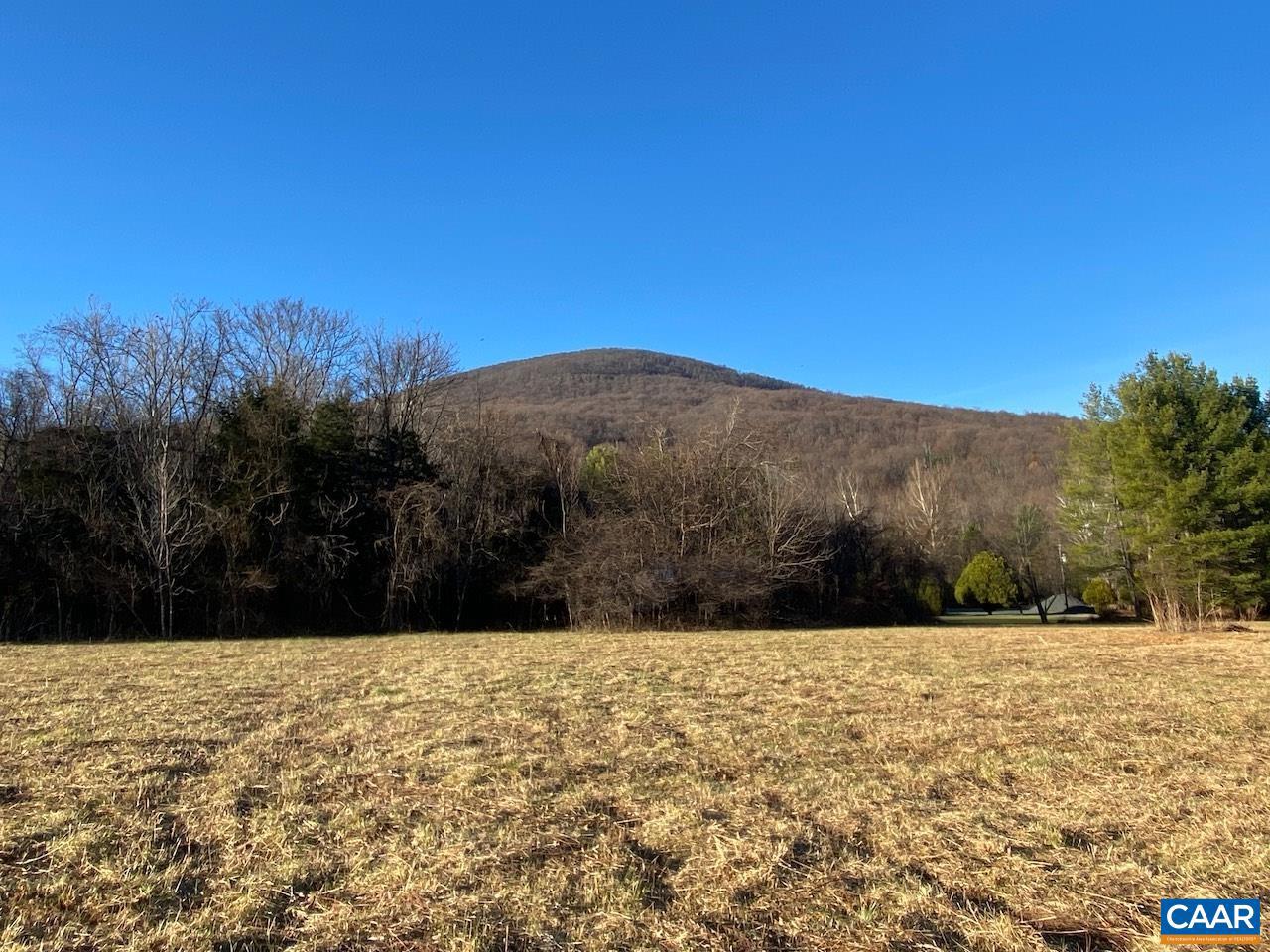 NAPIER LN #C, NELLYSFORD, Virginia 22958, ,Land,For sale,NAPIER LN #C,671453 MLS # 671453