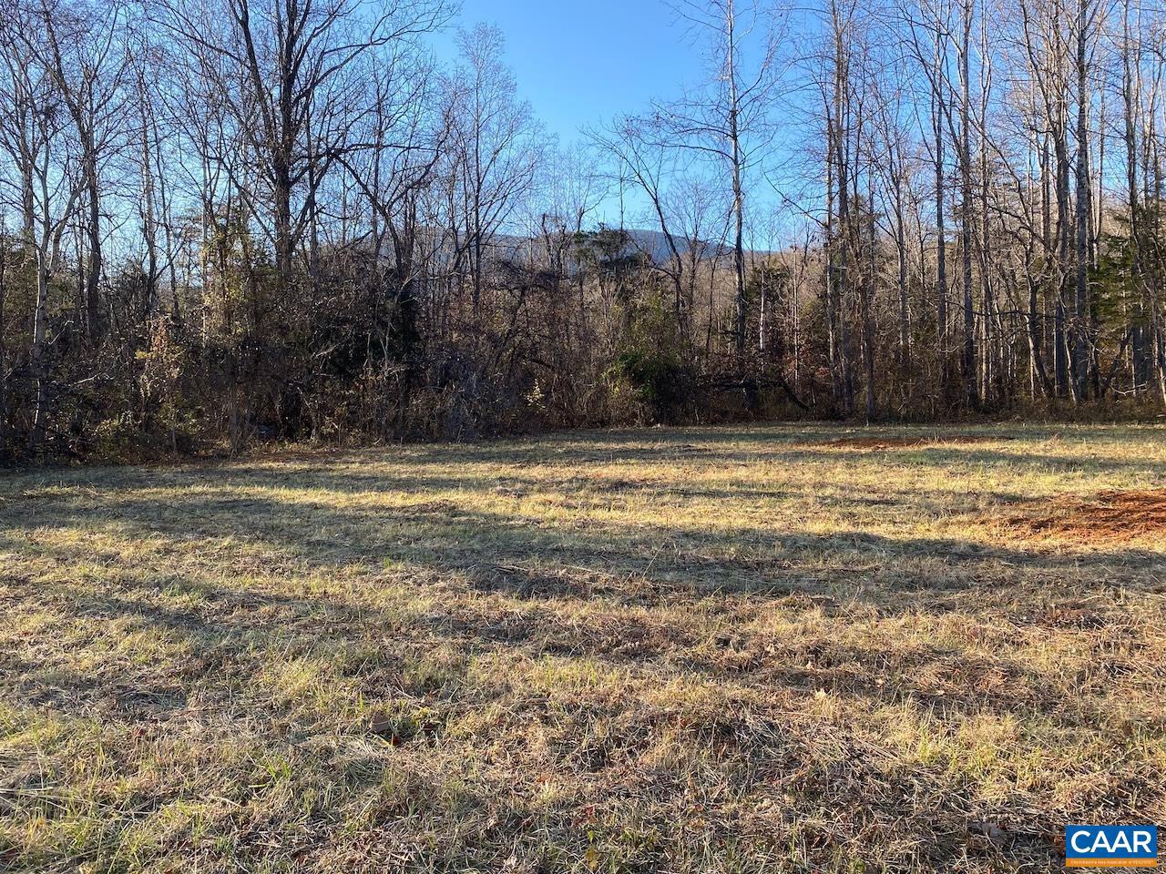 NAPIER LN #C, NELLYSFORD, Virginia 22958, ,Land,For sale,NAPIER LN #C,671453 MLS # 671453