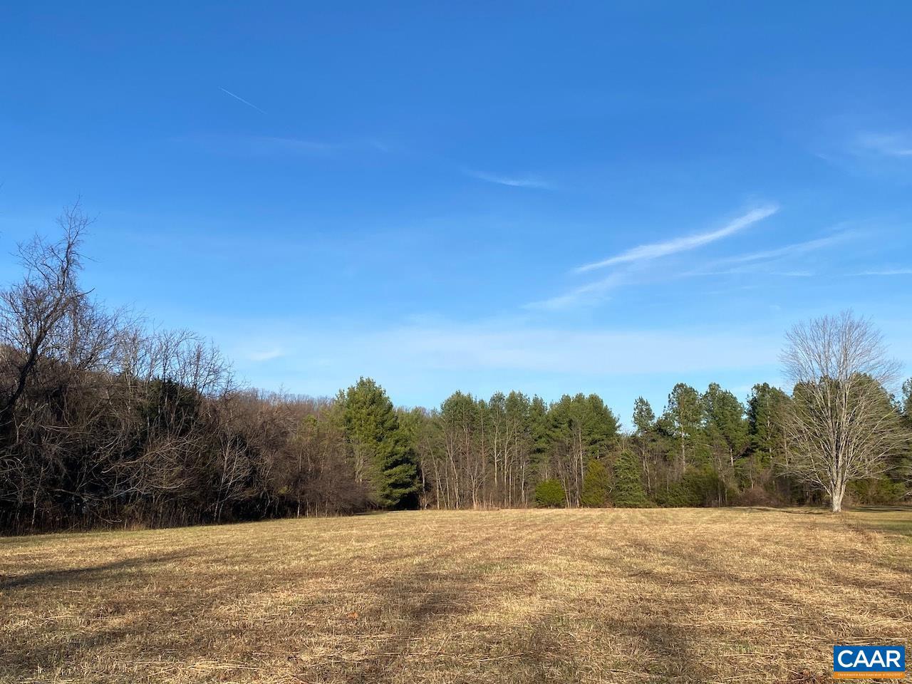 NAPIER LN #C, NELLYSFORD, Virginia 22958, ,Land,For sale,NAPIER LN #C,671453 MLS # 671453