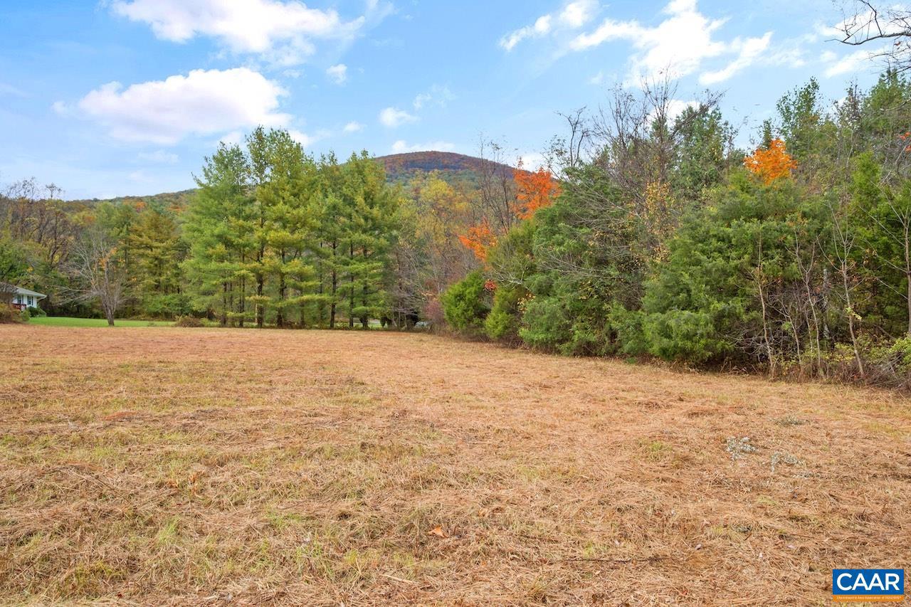 NAPIER LN #C, NELLYSFORD, Virginia 22958, ,Land,For sale,NAPIER LN #C,671453 MLS # 671453