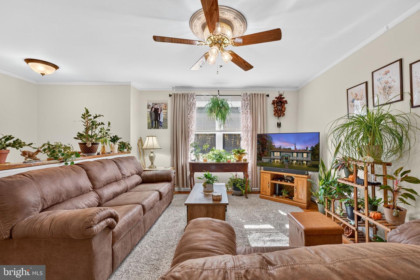 315 MOUNT OLIVE RD, STAFFORD, Virginia 22556, 4 Bedrooms Bedrooms, 6 Rooms Rooms,2 BathroomsBathrooms,Residential,For sale,315 MOUNT OLIVE RD,VAST2043810 MLS # VAST2043810 315 MOUNT OLIVE RD, STAFFORD, Virginia 22556, 4 Bedrooms Bedrooms, 6 Rooms Rooms,2 BathroomsBathrooms,Residential,For sale,315 MOUNT OLIVE RD,VAST2043810 MLS # VAST2043810