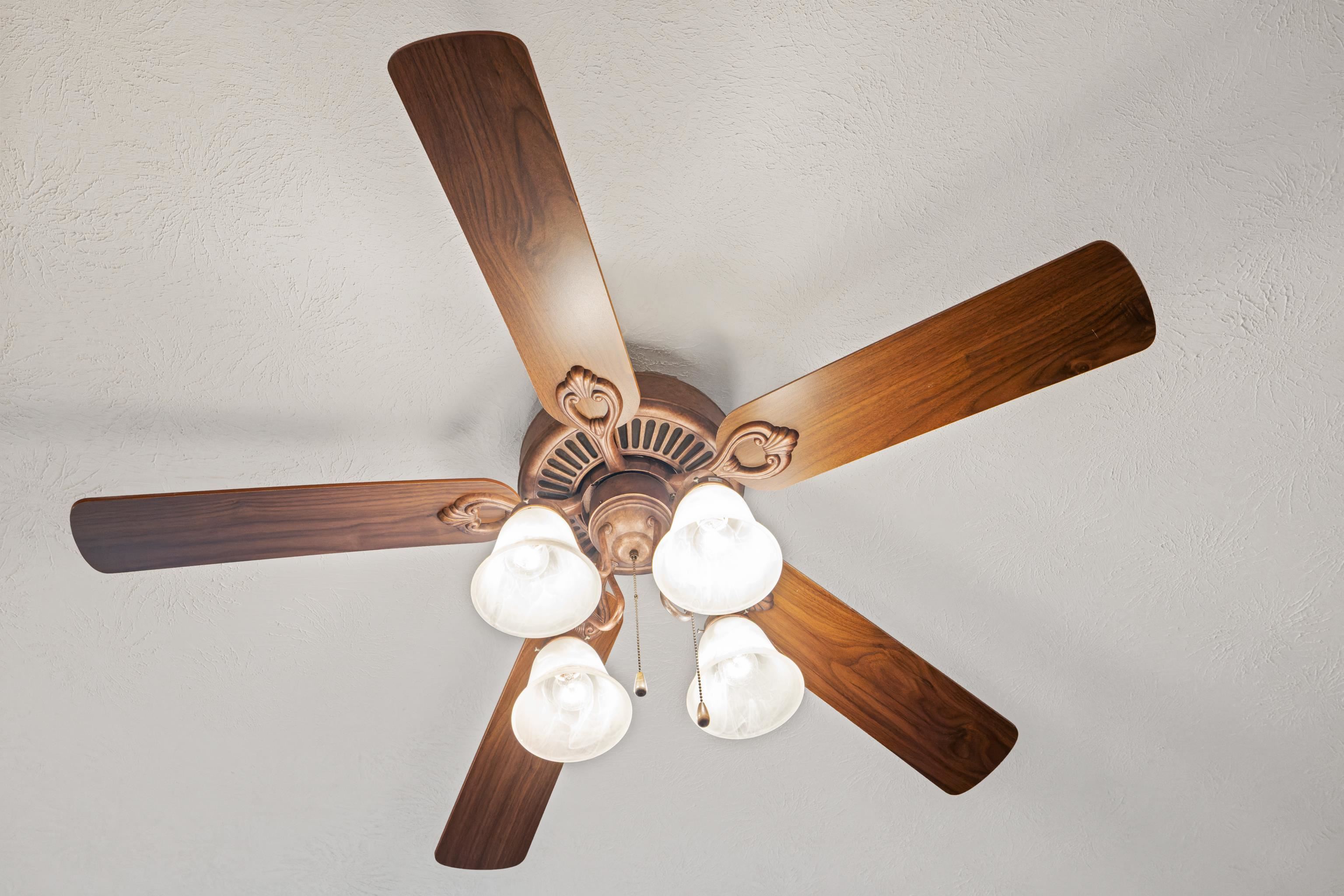 138 FIRST ST, BROADWAY, Virginia 22815, 4 Bedrooms Bedrooms, ,2 BathroomsBathrooms,Residential,138 FIRST ST,671471 MLS # 671471