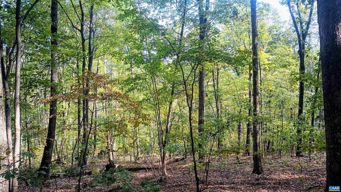 15 DEER RUN LN, SHIPMAN, Virginia 22971, ,Land,For sale,15 DEER RUN LN,671472 MLS # 671472