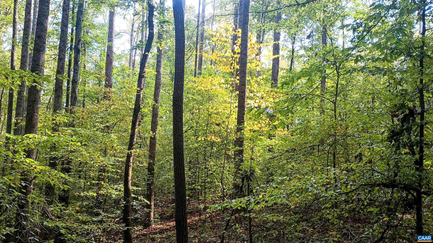 15 DEER RUN LN, SHIPMAN, Virginia 22971, ,Land,For sale,15 DEER RUN LN,671472 MLS # 671472