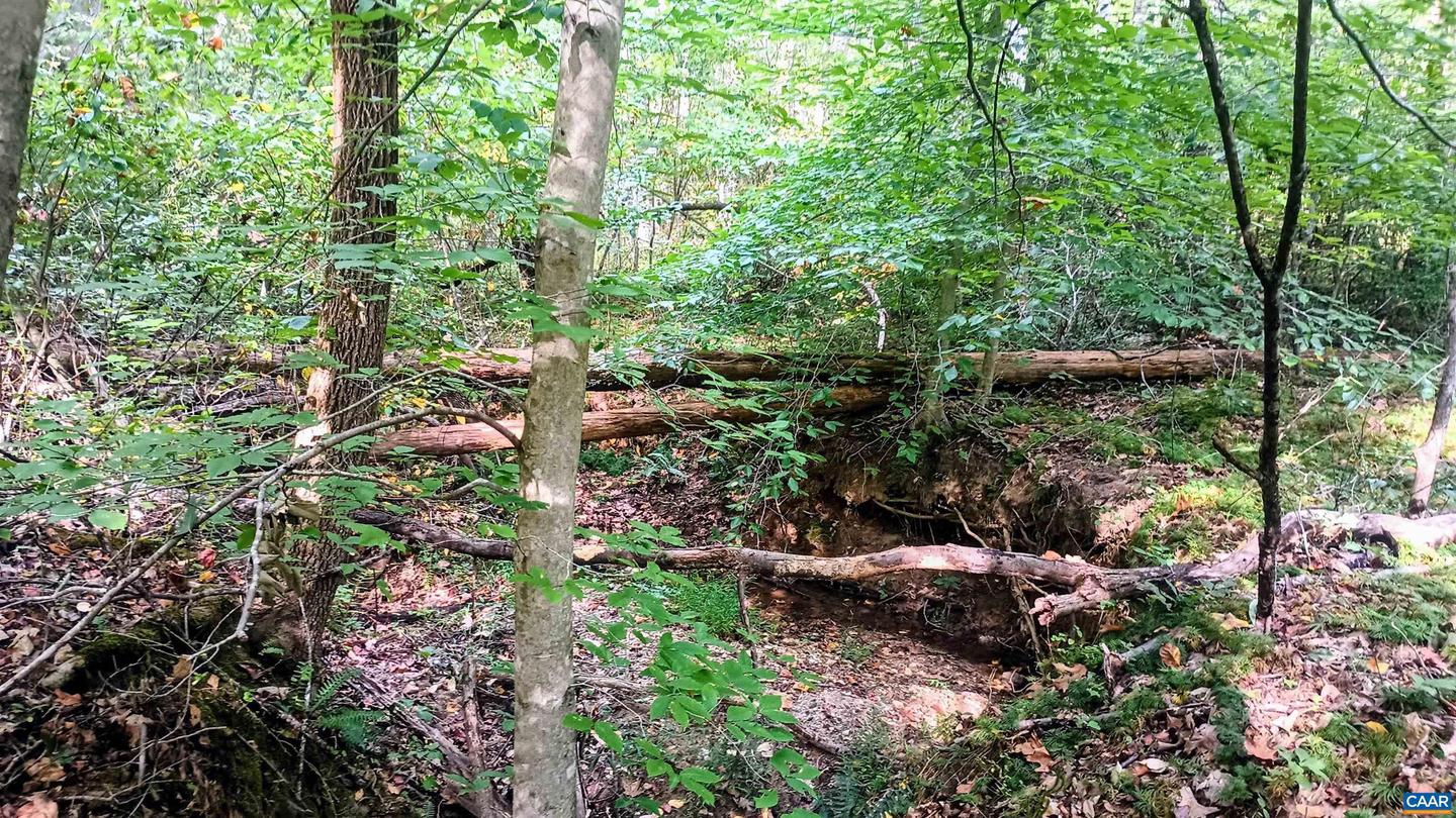 15 DEER RUN LN, SHIPMAN, Virginia 22971, ,Land,For sale,15 DEER RUN LN,671472 MLS # 671472