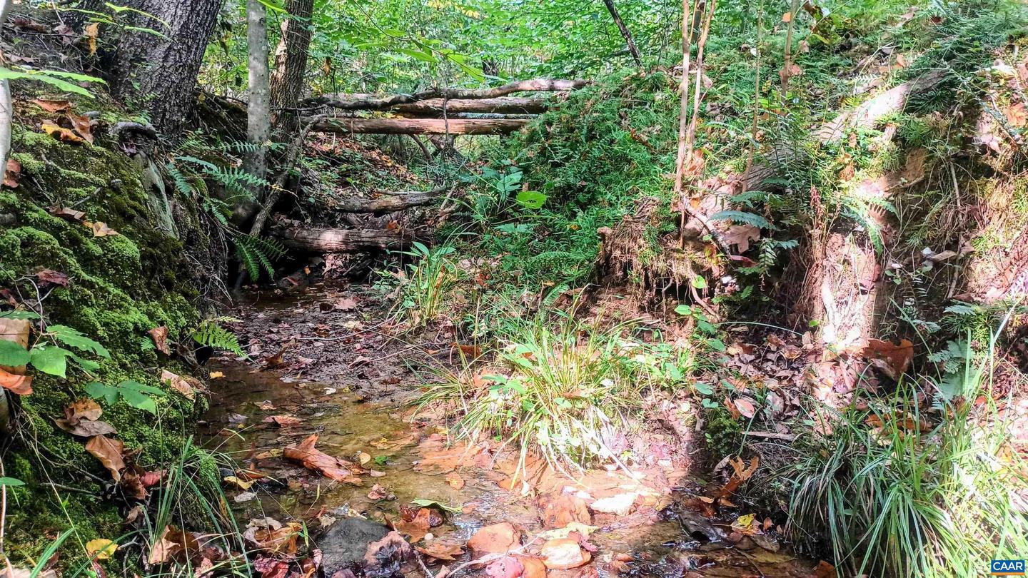 15 DEER RUN LN, SHIPMAN, Virginia 22971, ,Land,For sale,15 DEER RUN LN,671472 MLS # 671472