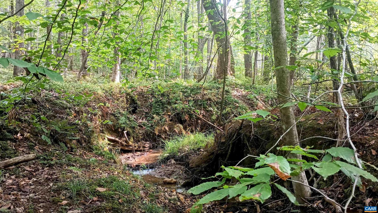 15 DEER RUN LN, SHIPMAN, Virginia 22971, ,Land,For sale,15 DEER RUN LN,671472 MLS # 671472