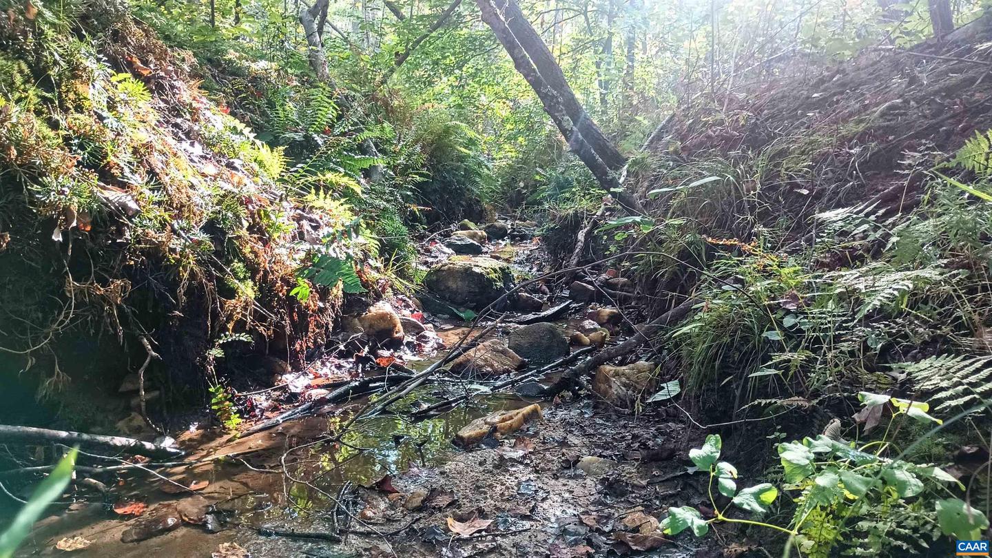 15 DEER RUN LN, SHIPMAN, Virginia 22971, ,Land,For sale,15 DEER RUN LN,671472 MLS # 671472